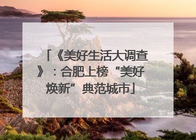 《美好生活大调查》：合肥上榜“美好焕新”典范城市