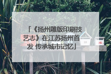 《扬州雕版印刷技艺志》在江苏扬州首发 传承城市记忆