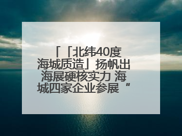 「北纬40度 海城质造」扬帆出海展硬核实力 海城四家企业参展“中东欧”展览会