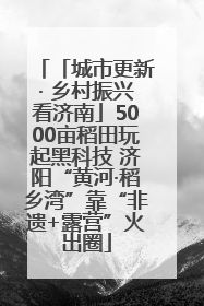 「城市更新· 乡村振兴看济南」5000亩稻田玩起黑科技 济阳“黄河·稻乡湾”靠“非遗+露营”火出圈