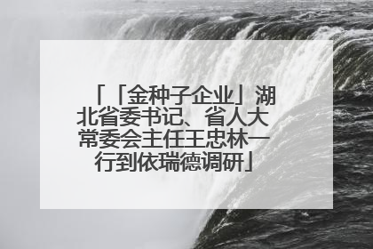 「金种子企业」湖北省委书记、省人大常委会主任王忠林一行到依瑞德调研