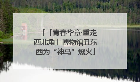 「青春华章·重走西北角」博物馆丑东西为“神马”爆火