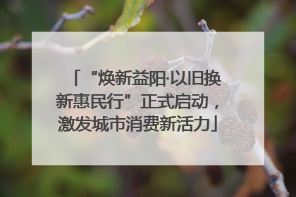 “焕新益阳·以旧换新惠民行”正式启动，激发城市消费新活力
