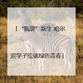 “瓶袋”新生 哈尔滨学子绘就绿色青春