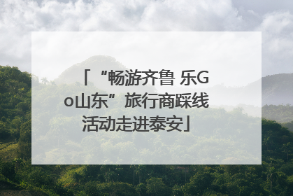 “畅游齐鲁 乐Go山东”旅行商踩线活动走进泰安