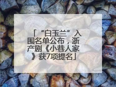“白玉兰”入围名单公布，浙产剧《小巷人家》获7项提名