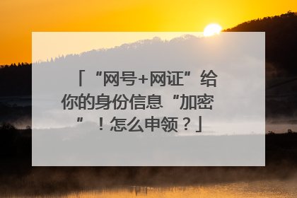 “网号+网证”给你的身份信息“加密”！怎么申领？