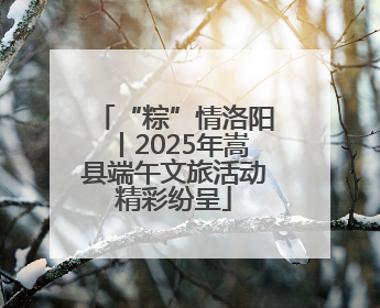 “粽”情洛阳丨2025年嵩县端午文旅活动精彩纷呈
