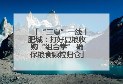 “三夏”一线丨肥城：打好夏粮收购“组合拳” 确保粮食颗粒归仓