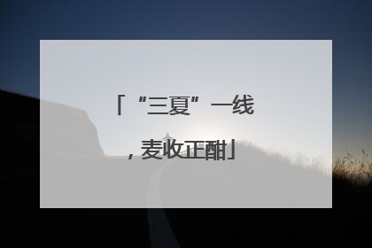 “三夏”一线，麦收正酣