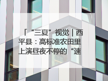 “三夏”视觉｜西平县：高标准农田里上演昼夜不停的“速度与激情”