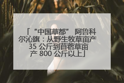 “中国草都” 阿鲁科尔沁旗：从野生牧草亩产 35 公斤到苜蓿草亩产 800 公斤以上
