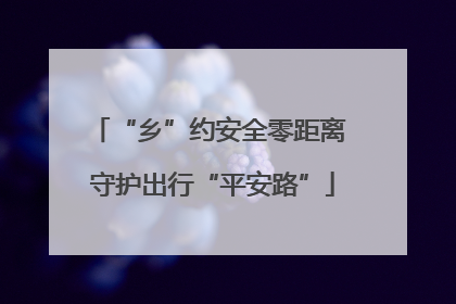 “乡”约安全零距离 守护出行“平安路”