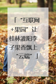 “互联网+果园”让桂林灌阳李子果香飘上“云端”