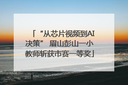 “从芯片视频到AI决策” 眉山彭山一小教师斩获市赛一等奖