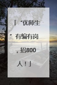 “优师生”有编有岗，招800人！