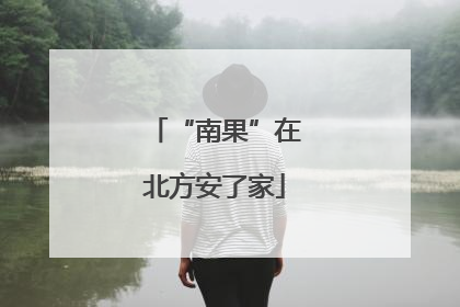 “南果”在北方安了家