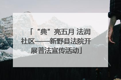 “典”亮五月 法润社区——新野县法院开展普法宣传活动