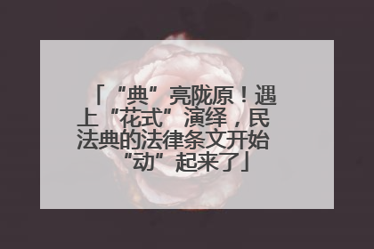“典”亮陇原！遇上“花式”演绎，民法典的法律条文开始“动”起来了
