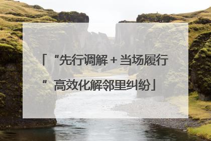 “先行调解＋当场履行”高效化解邻里纠纷