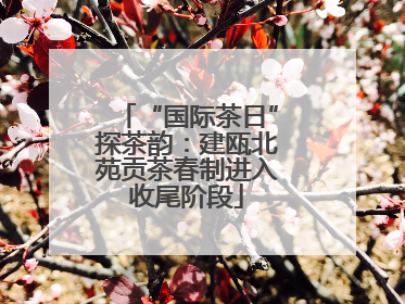 “国际茶日”探茶韵：建瓯北苑贡茶春制进入收尾阶段