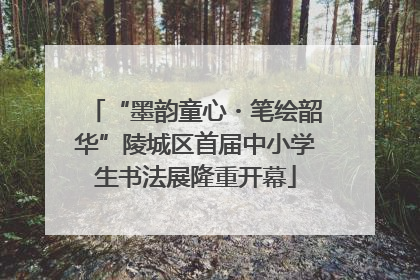 “墨韵童心・笔绘韶华”陵城区首届中小学生书法展隆重开幕