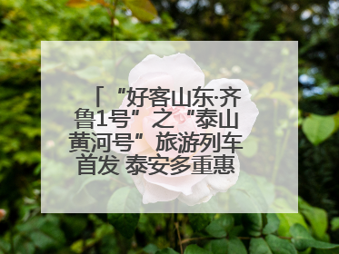 “好客山东·齐鲁1号”之“泰山黄河号”旅游列车首发 泰安多重惠民举措激活文旅消费新动能