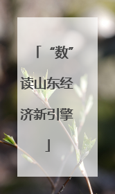 “数”读山东经济新引擎