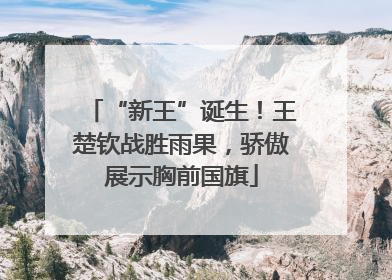 “新王”诞生！王楚钦战胜雨果，骄傲展示胸前国旗