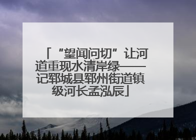 “望闻问切”让河道重现水清岸绿——记郓城县郓州街道镇级河长孟泓辰