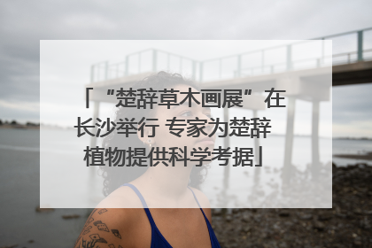 “楚辞草木画展”在长沙举行 专家为楚辞植物提供科学考据