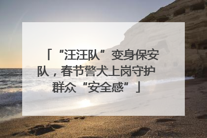 “汪汪队”变身保安队，春节警犬上岗守护群众“安全感”
