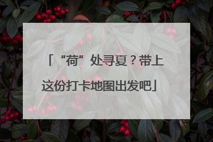 “荷”处寻夏？带上这份打卡地图出发吧