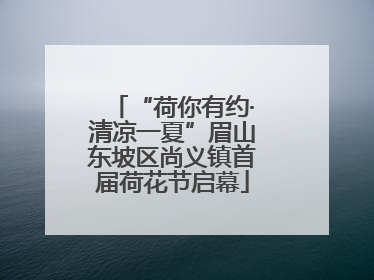 “荷你有约·清凉一夏”眉山东坡区尚义镇首届荷花节启幕