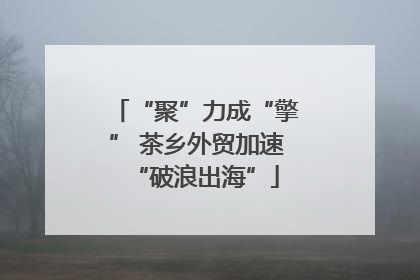 “聚”力成“擎” 茶乡外贸加速“破浪出海”