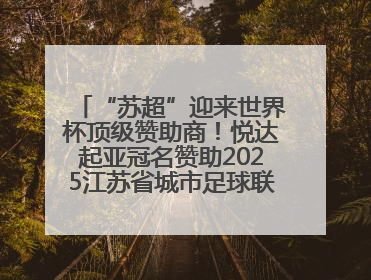 “苏超”迎来世界杯顶级赞助商！悦达起亚冠名赞助2025江苏省城市足球联赛盐城赛区