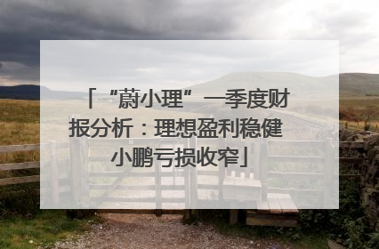 “蔚小理”一季度财报分析：理想盈利稳健 小鹏亏损收窄