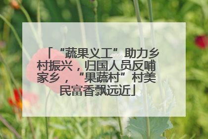 “蔬果义工”助力乡村振兴，归国人员反哺家乡，“果蔬村”村美民富香飘远近