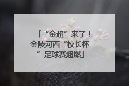 “金超”来了！金陵河西“校长杯”足球赛超燃