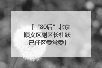 “80后”北京顺义区副区长杜跃已任区委常委