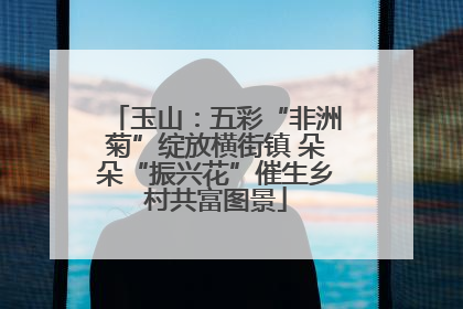 玉山：五彩“非洲菊”绽放横街镇 朵朵“振兴花”催生乡村共富图景
