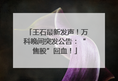 王石最新发声！万科晚间突发公告：“售股”回血！