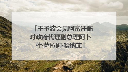 王予波会见阿富汗临时政府代理副总理阿卜杜·萨拉姆·哈纳菲