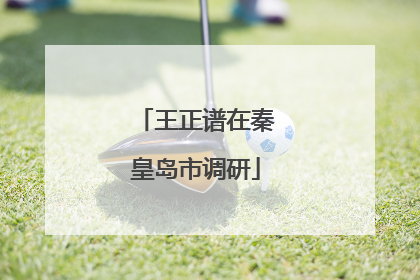 王正谱在秦皇岛市调研