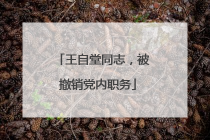 王自堂同志，被撤销党内职务