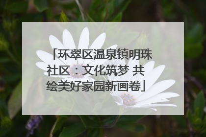 环翠区温泉镇明珠社区：文化筑梦 共绘美好家园新画卷