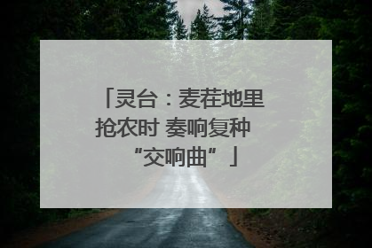灵台：麦茬地里抢农时 奏响复种“交响曲”