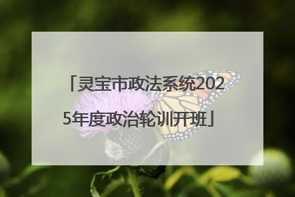 灵宝市政法系统2025年度政治轮训开班