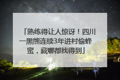 熟练得让人惊讶！四川一黑熊连续3年进村偷蜂蜜，藏哪都找得到