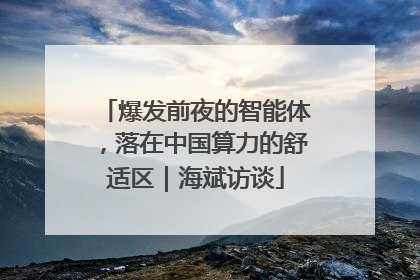 爆发前夜的智能体，落在中国算力的舒适区｜海斌访谈
